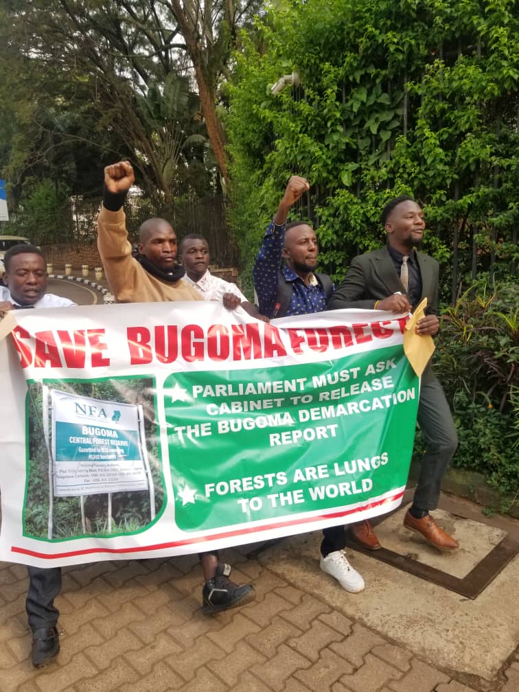 Save Bugoma Forest campaign portrait.